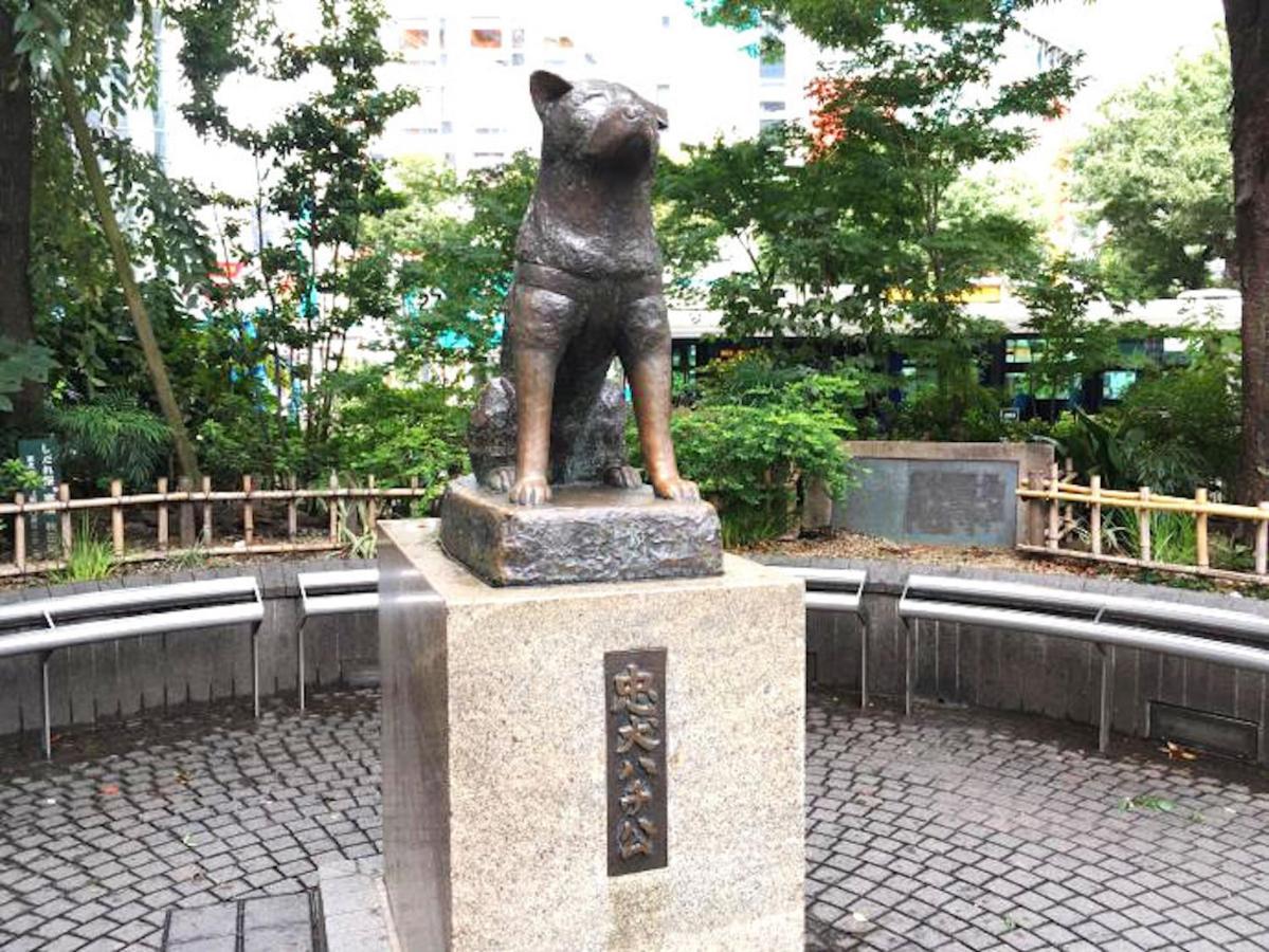 Shibuya Anon #b103 *