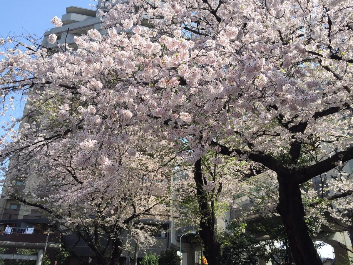 Apartment Shibuya Anon #b103 Tokyo